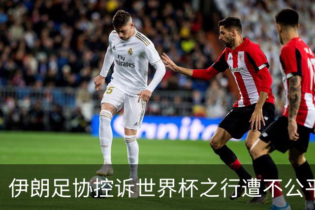 伊朗足协控诉世界杯之行遭不公平对待